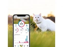 Tractive GPS-Tracker LTE für Katzen -Katzenwelt Verkaufsgeschäft 141942562 xxl