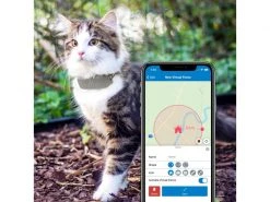 Tractive GPS-Tracker LTE für Katzen -Katzenwelt Verkaufsgeschäft 141942600 xxl