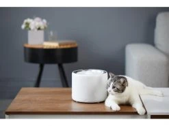 PETKIT Trinkbrunnen Eversweet 3, 1.35 l -Katzenwelt Verkaufsgeschäft 179141523 xxl