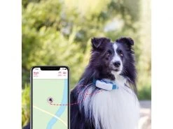 Tractive GPS-Tracker LTE für Hunde, weiss -Katzenwelt Verkaufsgeschäft 189361484 xxl