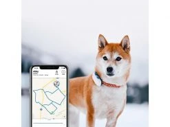 Tractive GPS-Tracker LTE für Hunde, weiss -Katzenwelt Verkaufsgeschäft 189361493 xxl