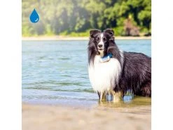 Tractive GPS-Tracker LTE für Hunde, weiss -Katzenwelt Verkaufsgeschäft 189361550 xxl