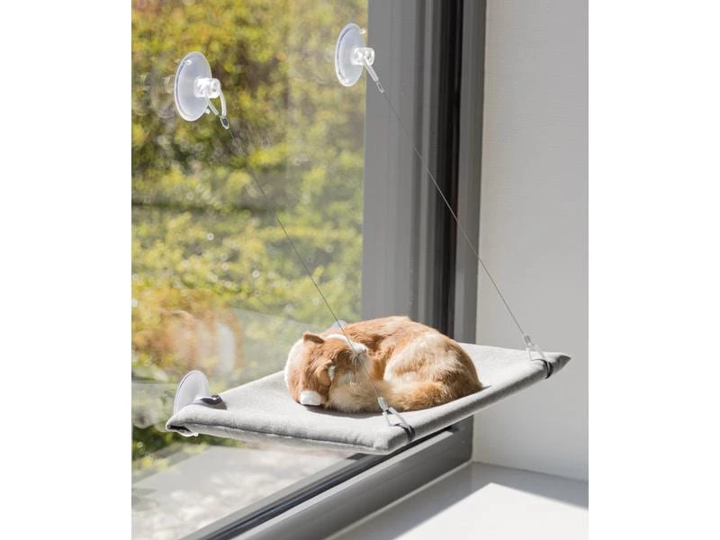 Trixie Liegeplatz für Fensterscheibe 50 x 30 cm 4 Trixie Liegeplatz für Fensterscheibe 50 x 30 cm – Bild 2