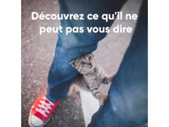 Invoxia Pet GPS-Tracker für Katzen und Hunde -Katzenwelt Verkaufsgeschäft 190385802 xxl