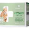 RECOACTIV Katzen-Nahrungsergänzung Recovery Immun, 3 x 90 ml