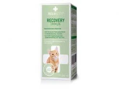 RECOACTIV Katzen-Nahrungsergänzung Recovery Immun, 1 x 280 ml