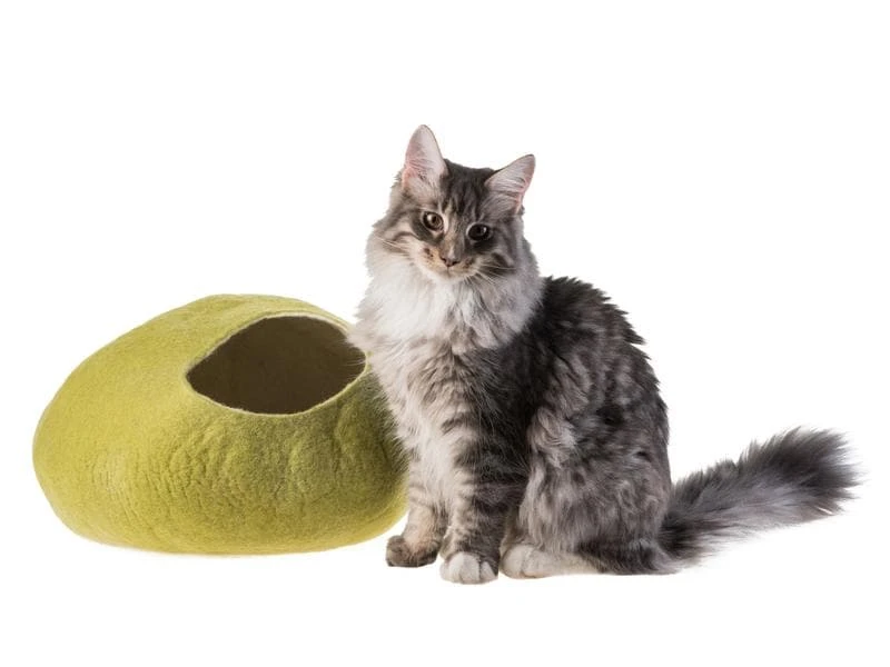 Kivikis Kuschelhöhle Cat Cave birch green 3 Kivikis Kuschelhöhle Cat Cave birch green