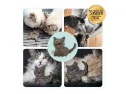 Catlabs Katzen-Spielzeug Kuschelige Katze mit Katzenminze -Katzenwelt Verkaufsgeschäft 211938403 xxl