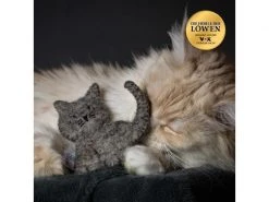 Catlabs Katzen-Spielzeug Kuschelige Katze mit Katzenminze -Katzenwelt Verkaufsgeschäft 211938410 xxl