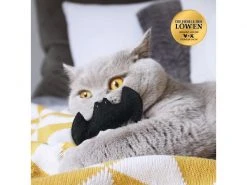 Catlabs Katzen-Spielzeug Flauschige Fledermaus mit Baldrianwurzel 19 Catlabs Katzen-Spielzeug Flauschige Fledermaus mit Baldrianwurzel -Katzenwelt Verkaufsgeschäft 211938459 xxl