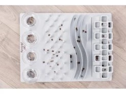 Trixie Katzen-Strategiespiel Fun Board 15 Trixie Katzen-Strategiespiel Fun Board -Katzenwelt Verkaufsgeschäft 215632161 xxl