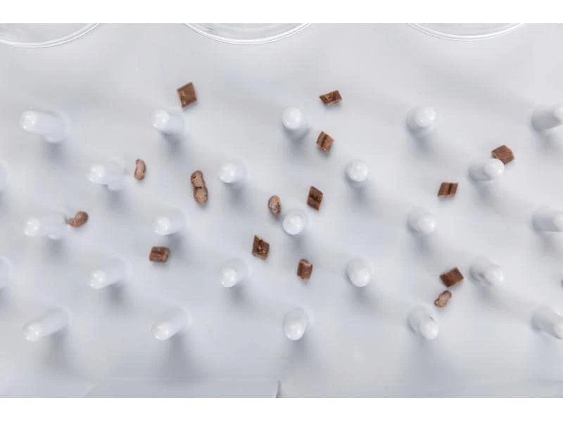 Trixie Katzen-Strategiespiel Fun Board 6 Trixie Katzen-Strategiespiel Fun Board – Bild 4