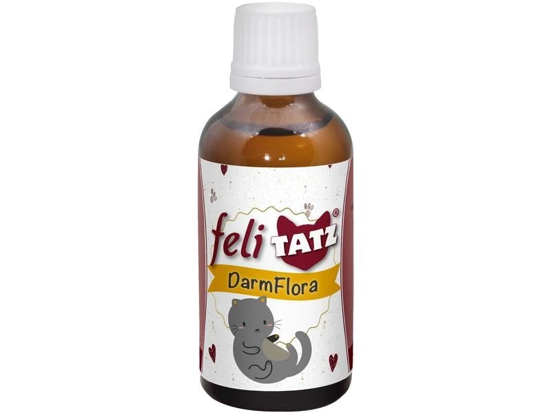 CdVet Katzen-Nahrungsergänzung feliTATZ DarmFlora, 50 ml 3 CdVet Katzen-Nahrungsergänzung feliTATZ DarmFlora, 50 ml