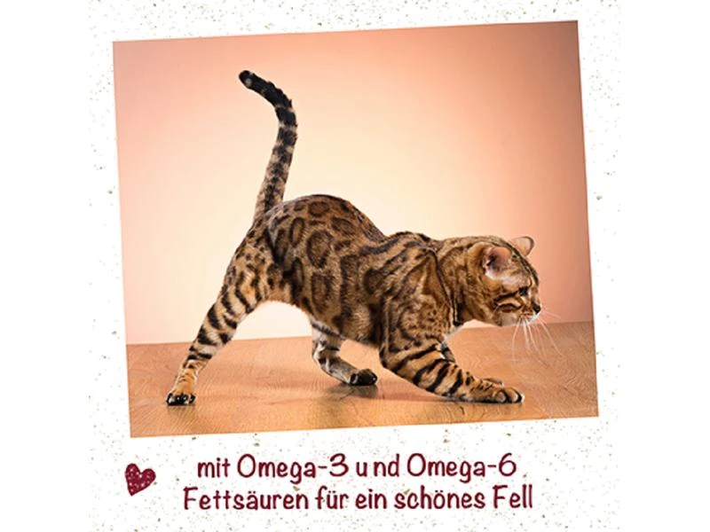 CdVet Katzen-Nahrungsergänzung feliTATZ FellGlanz, 50 ml 4 CdVet Katzen-Nahrungsergänzung feliTATZ FellGlanz, 50 ml – Bild 2