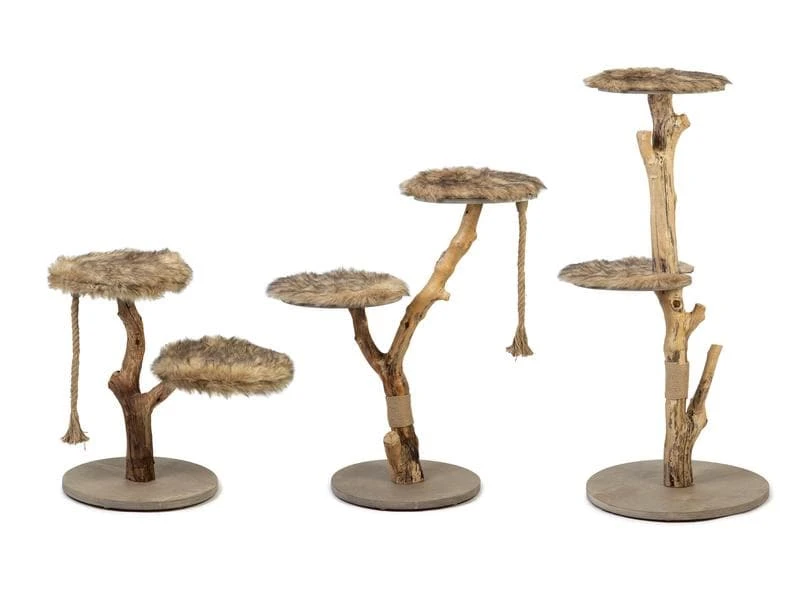 Designed by Lotte Kratzbaum Jazz, Braun 5 Designed by Lotte Kratzbaum Jazz, Braun – Bild 3