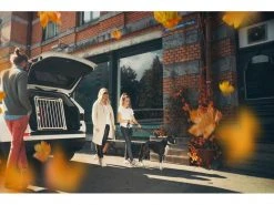 4pets Transportbox ECO 2 Medium -Katzenwelt Verkaufsgeschäft 220244102 xxl