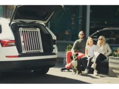 4pets Transportbox ECO 3 Large -Katzenwelt Verkaufsgeschäft 220244737 xxl 2