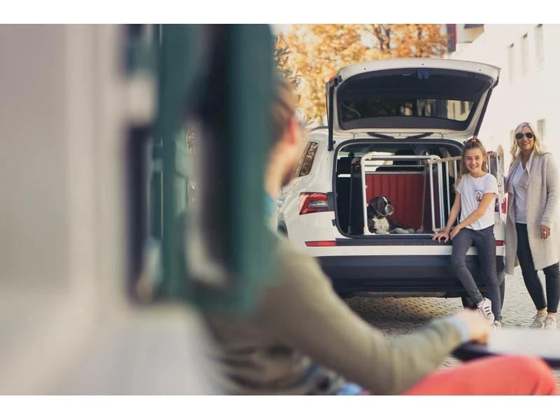 4pets Transportbox ECO 4 Large 4 4pets Transportbox ECO 4 Large – Bild 2