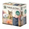Wildes Land Nassfutter Adult Pouch Probierbox 8 x 100 g -Katzenwelt Verkaufsgeschäft 221880770 xxl