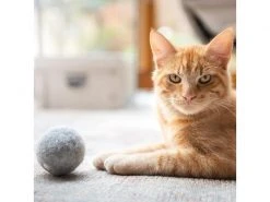 CanadianCat Katzen-Spielzeug Filzball mit Dufttasche -Katzenwelt Verkaufsgeschäft 222623254 xxl