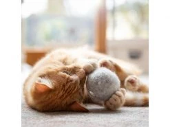 CanadianCat Katzen-Spielzeug Filzball mit Dufttasche -Katzenwelt Verkaufsgeschäft 222623256 xxl