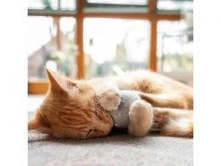 CanadianCat Katzen-Spielzeug Filzball mit Dufttasche -Katzenwelt Verkaufsgeschäft 222623261 xxl