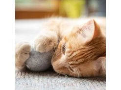 CanadianCat Katzen-Spielzeug Filzball mit Dufttasche -Katzenwelt Verkaufsgeschäft 222623263 xxl