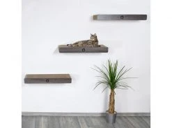 CanadianCat Kratzbrett Cloud -Katzenwelt Verkaufsgeschäft 222623621 xxl