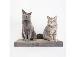 CanadianCat Kratzbrett Cloud -Katzenwelt Verkaufsgeschäft 222623627 xxl