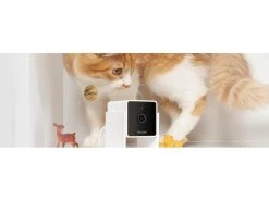 Petcube Haustierkamera Pet Cube -Katzenwelt Verkaufsgeschäft 223340947 xxl