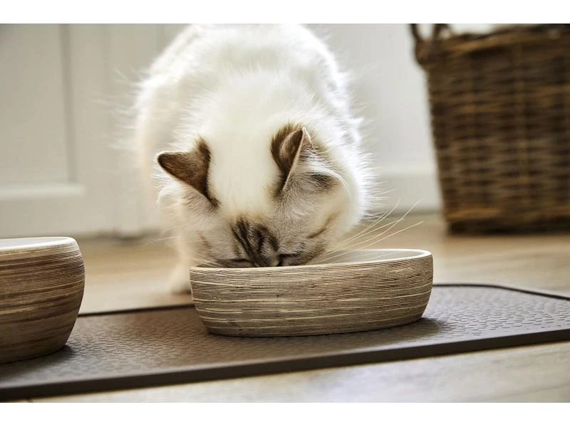 Wolters Napf Diner Stone Cat, Braun, 0.3 l 4 Wolters Napf Diner Stone Cat, Braun, 0.3 l – Bild 2