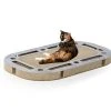 CanadianCat Katzen-Strategiespiel Playplate -Katzenwelt Verkaufsgeschäft 224320496 xxl