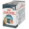 Royal Canin Nassfutter Hairball Care Sosse, 12 x 85 g -Katzenwelt Verkaufsgeschäft 225710209 xxl