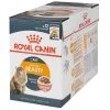 Royal Canin Nassfutter Intense Beauty Sosse, 12 x 85 g -Katzenwelt Verkaufsgeschäft 225710215 xxl