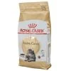 Royal Canin Trockenfutter Maine Coon Adult, 2 kg -Katzenwelt Verkaufsgeschäft 225710224 xxl