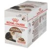 Royal Canin Nassfutter Ageing 12+ in Sosse, 12 x 85 g