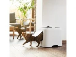 Rotho Katzentoilette Biala, Mistletoe weiss -Katzenwelt Verkaufsgeschäft 227697683 xxl