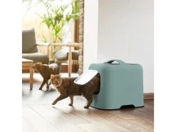 Rotho Katzentoilette Biala, Mistletoe grün -Katzenwelt Verkaufsgeschäft 227715136 xxl