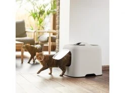 Rotho Katzentoilette Biala, Cappuccino -Katzenwelt Verkaufsgeschäft 227715190 xxl