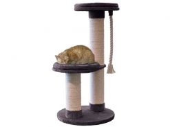 Azoona Kratzbaum Aaron, Grau