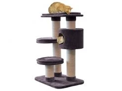 Azoona Kratzbaum Jakob, Grau