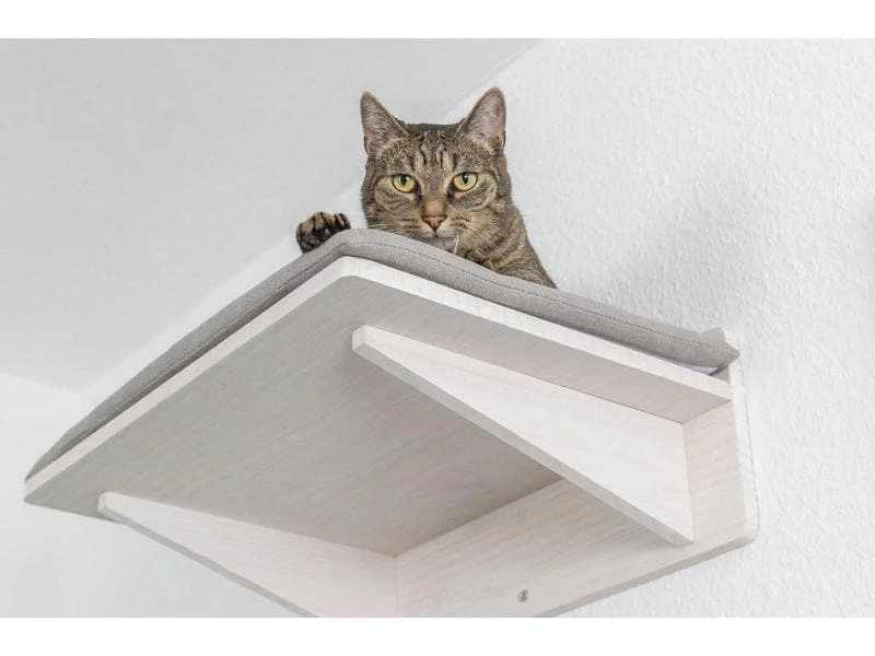 Trixie Liegeplatte zur Wandmontage, Weiss 4 Trixie Liegeplatte zur Wandmontage, Weiss – Bild 2