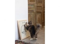 Designed by Lotte Kratzbrett Sammy -Katzenwelt Verkaufsgeschäft 230408920 xxl