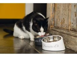 Designed by Lotte Melaminnapf My Favourite Cat Weiss, 0.16 l -Katzenwelt Verkaufsgeschäft 230410516 xxl