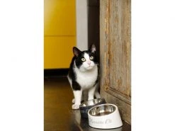 Designed by Lotte Melaminnapf My Favourite Cat Weiss, 0.16 l -Katzenwelt Verkaufsgeschäft 230410532 xxl