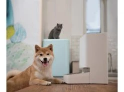Xiaomi Smart Pet Food Feeder, Weiss 24 Xiaomi Smart Pet Food Feeder, Weiss -Katzenwelt Verkaufsgeschäft 246466119 xxl