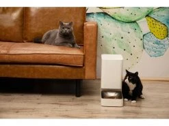 Xiaomi Smart Pet Food Feeder, Weiss 28 Xiaomi Smart Pet Food Feeder, Weiss -Katzenwelt Verkaufsgeschäft 246466140 xxl