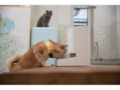 Xiaomi Smart Pet Food Feeder, Weiss 29 Xiaomi Smart Pet Food Feeder, Weiss -Katzenwelt Verkaufsgeschäft 246466152 xxl