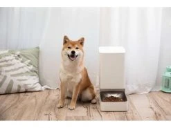 Xiaomi Smart Pet Food Feeder, Weiss 30 Xiaomi Smart Pet Food Feeder, Weiss -Katzenwelt Verkaufsgeschäft 246466159 xxl