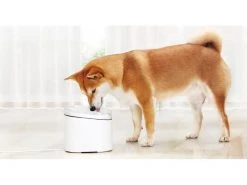 Xiaomi Smart Pet Fountain, Weiss -Katzenwelt Verkaufsgeschäft 246496590 xxl